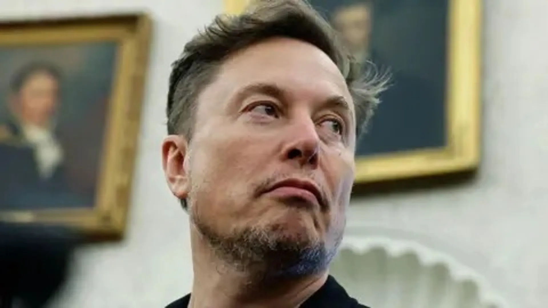 Elon Musk--