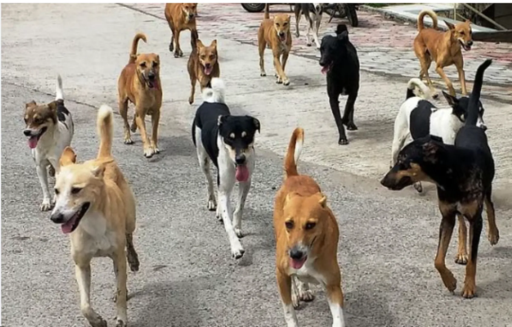 Screenshot 2025-10-08 110650