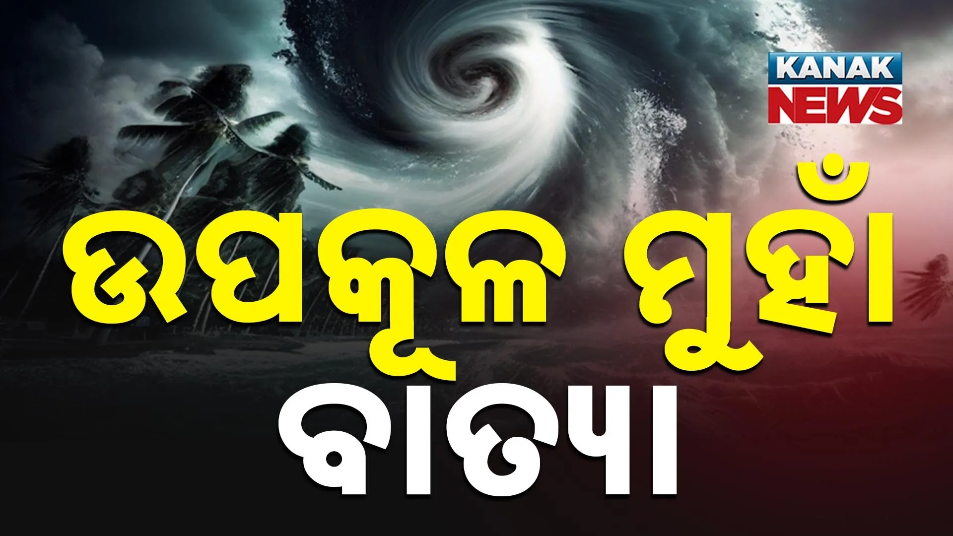 08-Cyclone Update