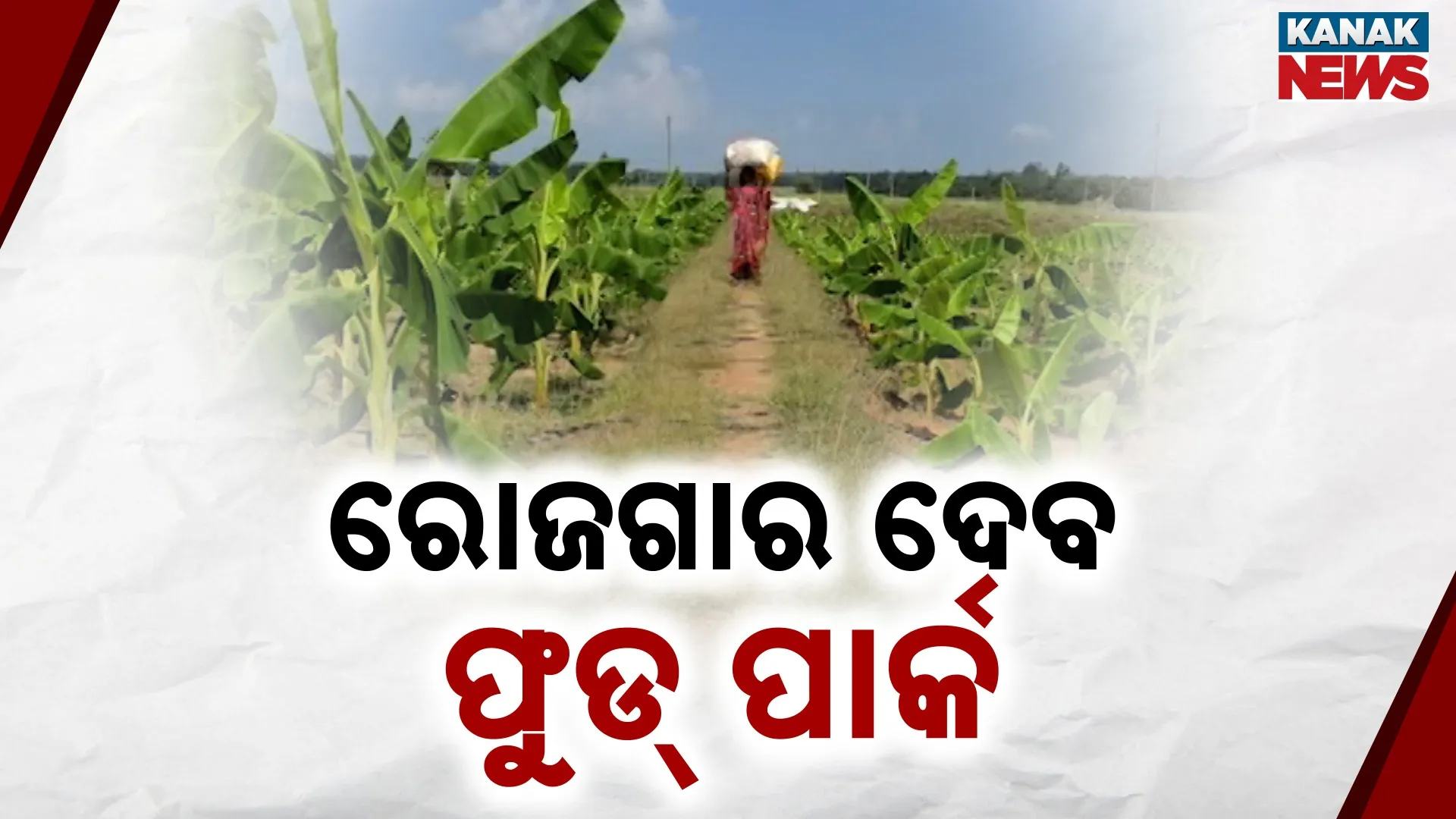 Industrial Food Park