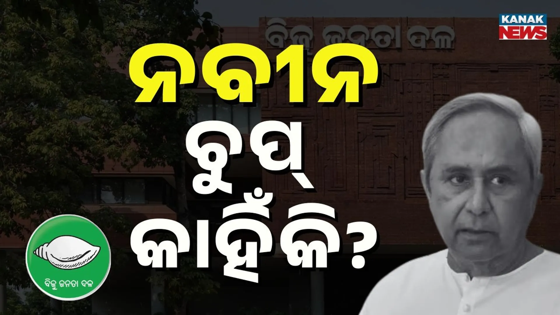 NAVEEN PATNAIK