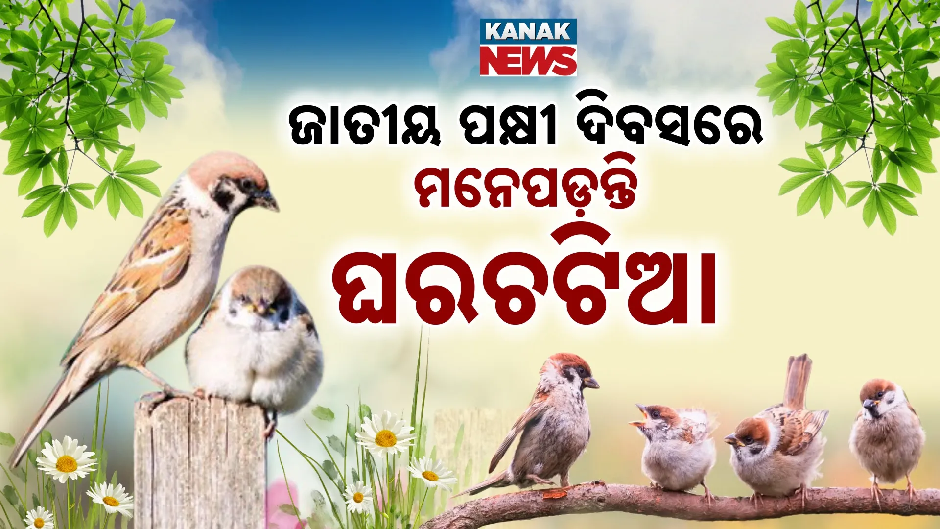 18.National Bird Day PKG Rajesh