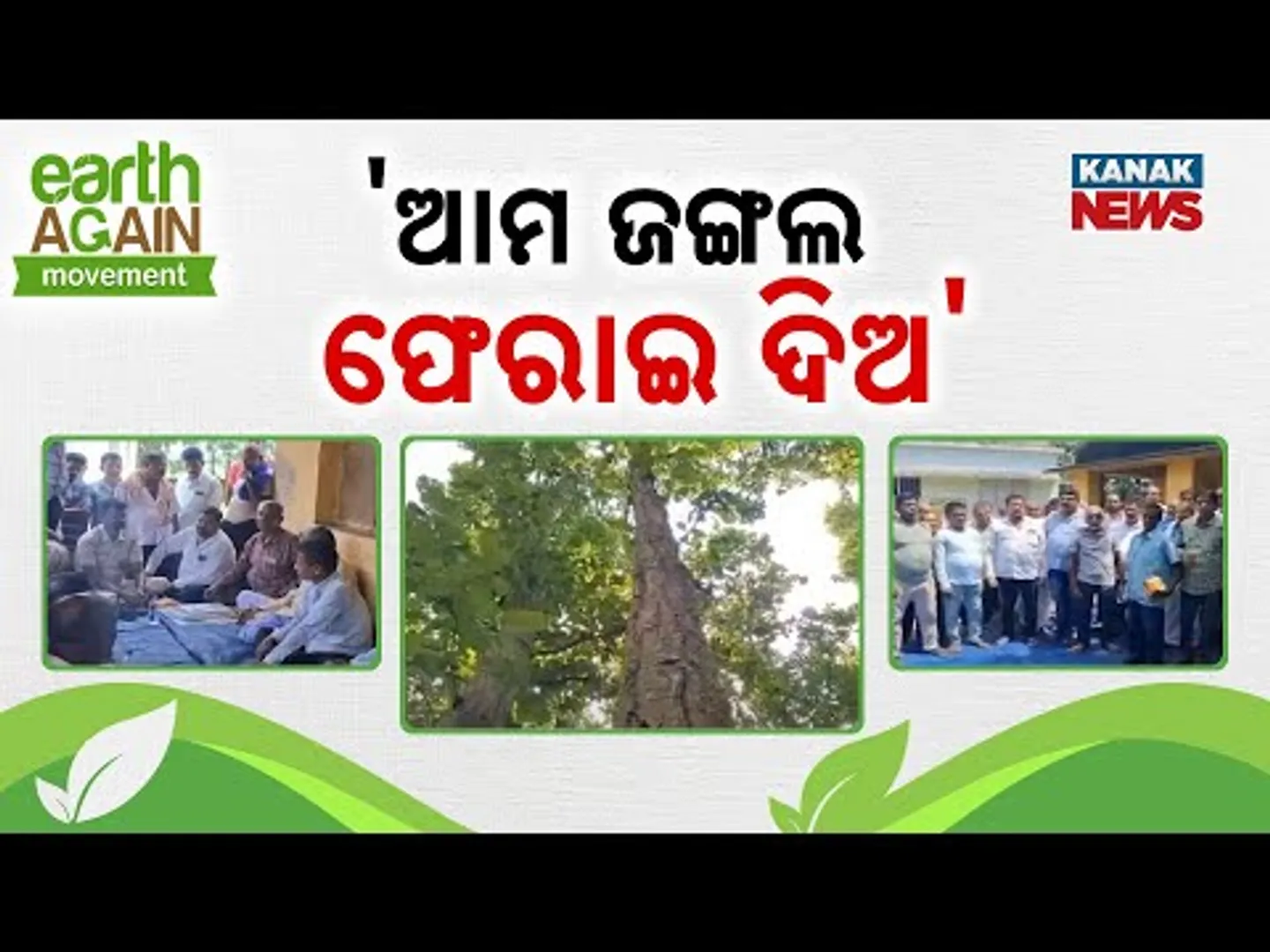 Forest Mafia Encroach Jungle Land in Dhenkanal | Locals Unite in Protest