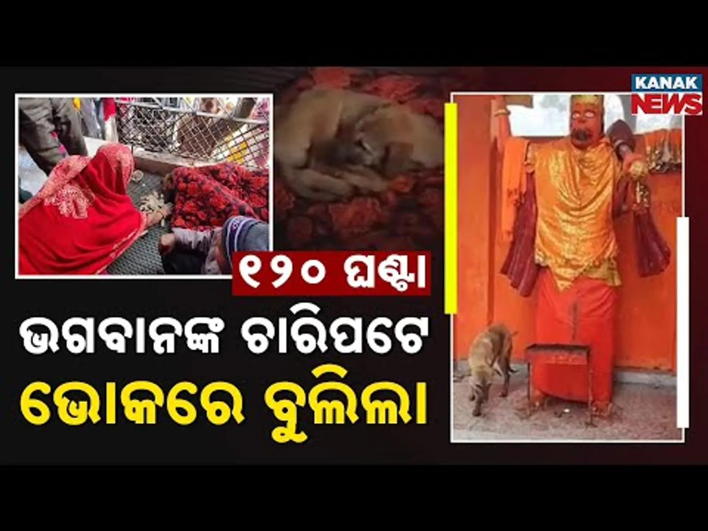 Spl Report: Dog Circles Hanuman Idol for 120 Hours Without Food, Crowd Gathers Calling It a Miracle