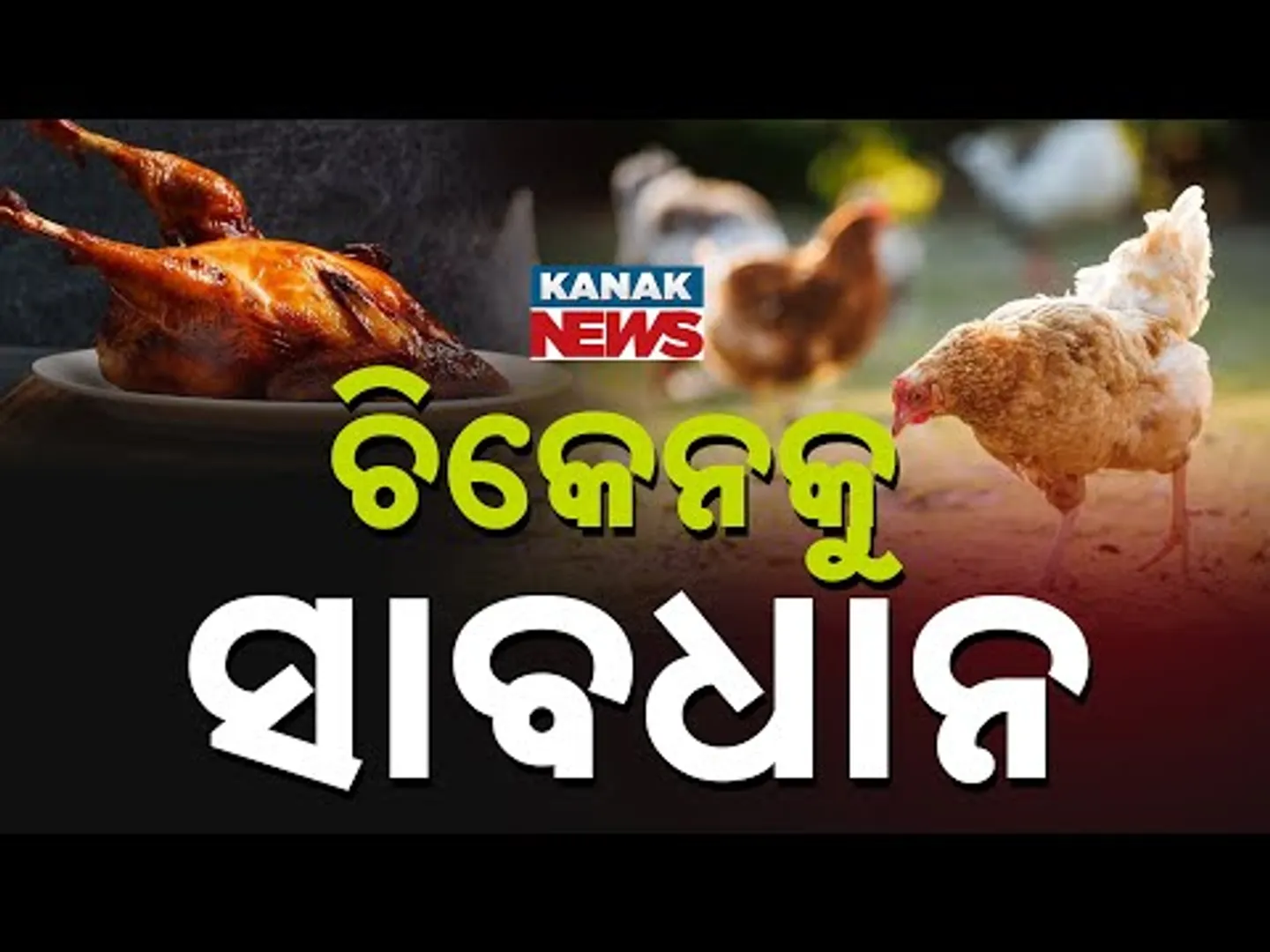 Chicken Craze Grips Youth, But Daily Consumption May Harm Health, Experts Warn