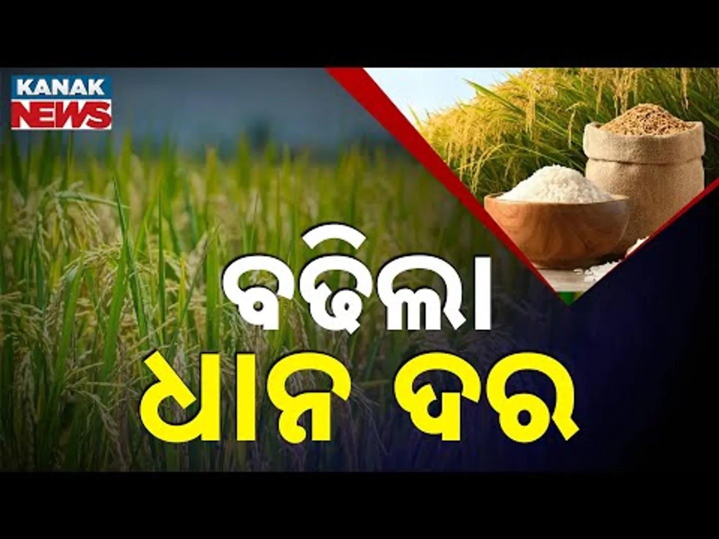 Cabinet Approves Rs 69 Hike In Paddy MSP To Rs 2,369 For 2025-26 Kharif Season | Ashwini Vaishnaw