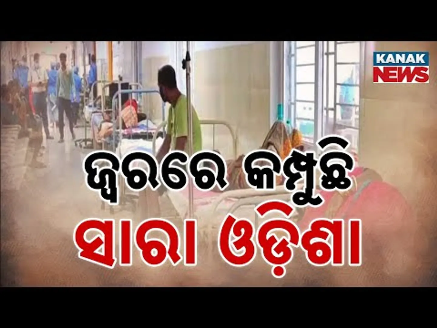 Odisha Battles Disease Outbreak | Malaria, Jaundice & Dengue Cases Surge