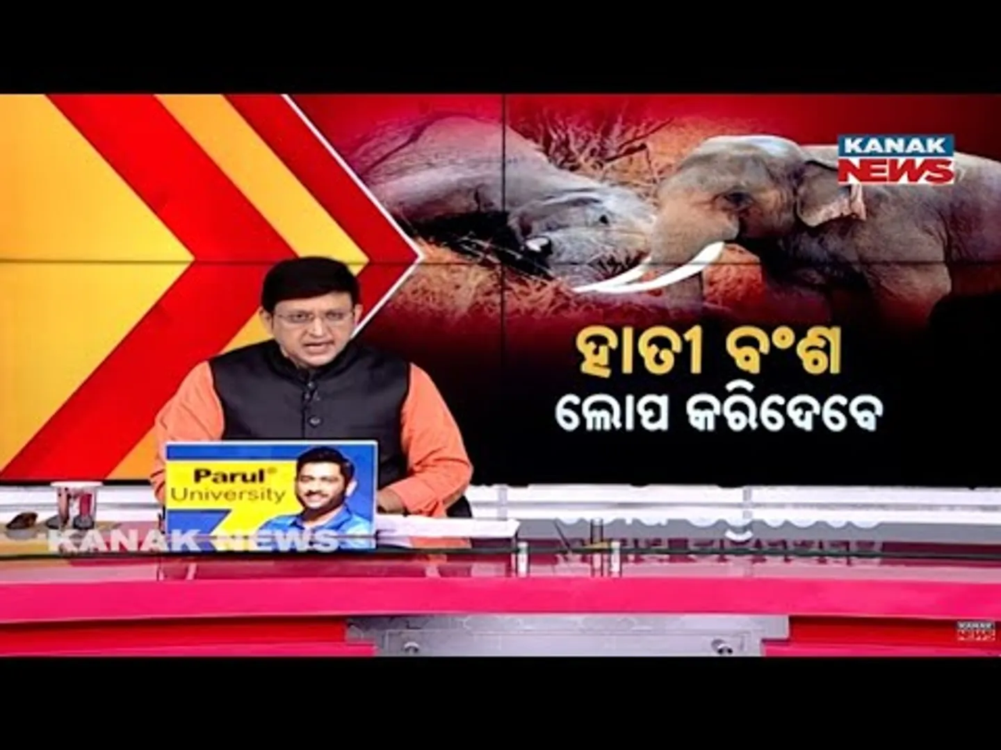 Who Is Responsible For Elephant Deaths? Rising Threats To Wildlife Survival Explained