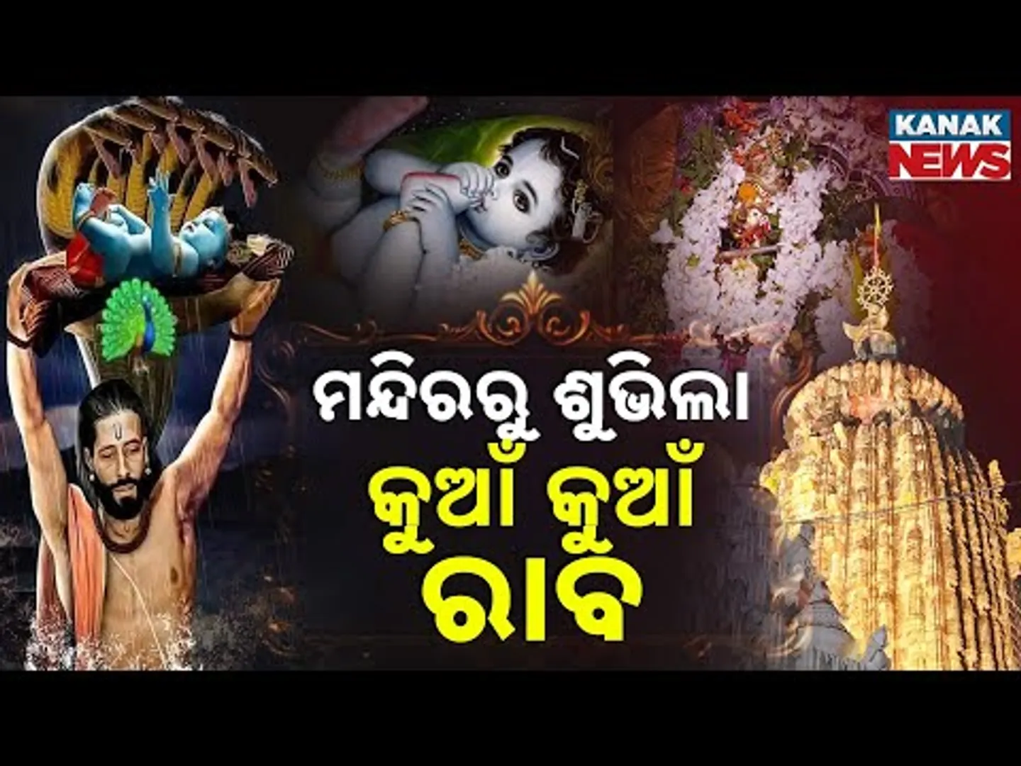 Janmasthami Celebration Dramatic Ritual at Sakhigopal Temple | ମନ୍ଦିରରୁ ଶୁଭିଲା କୁଆଁ କୁଆଁ ଡାକ