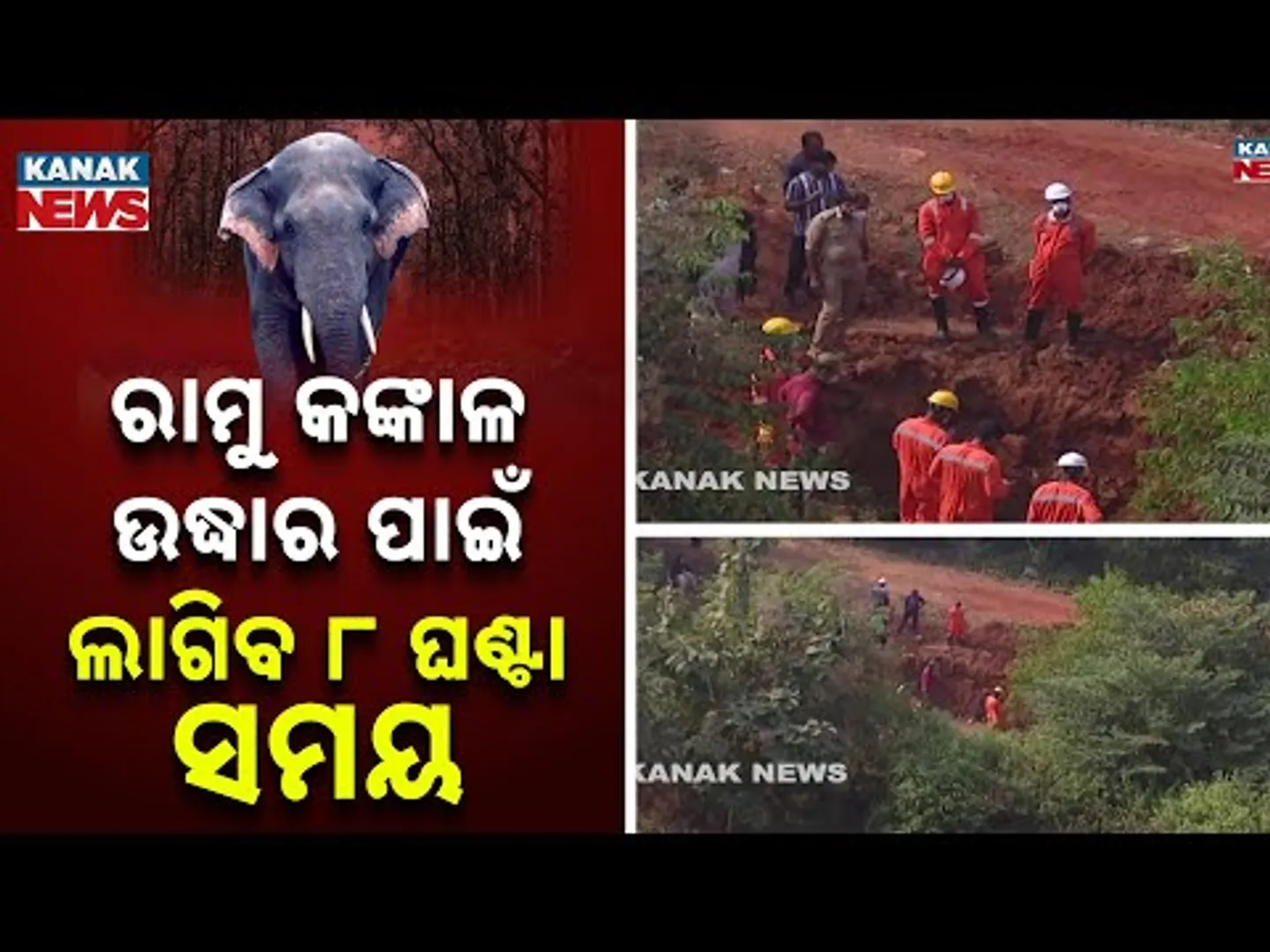Recovery of Ramu Elephant Skeleton Underway | Operation to Take 7–8 Hours