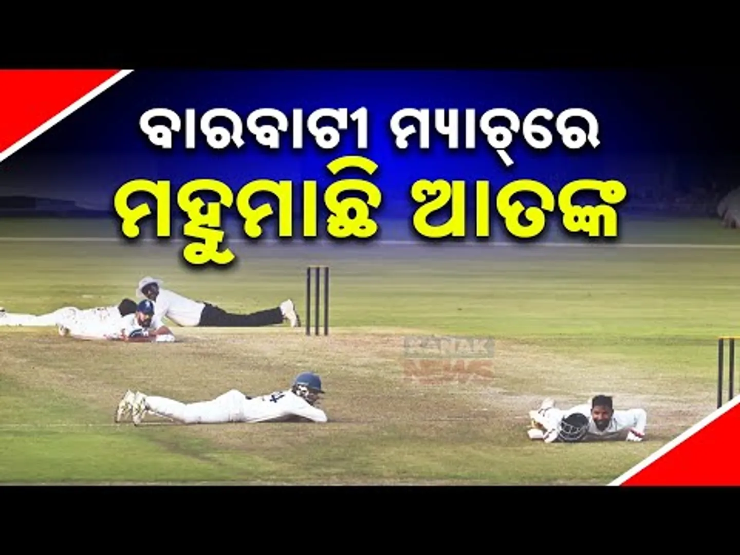 Bees Attack Halts Play Briefly During Odisha Vs Maharastra In Barabati Stadium; None Injured