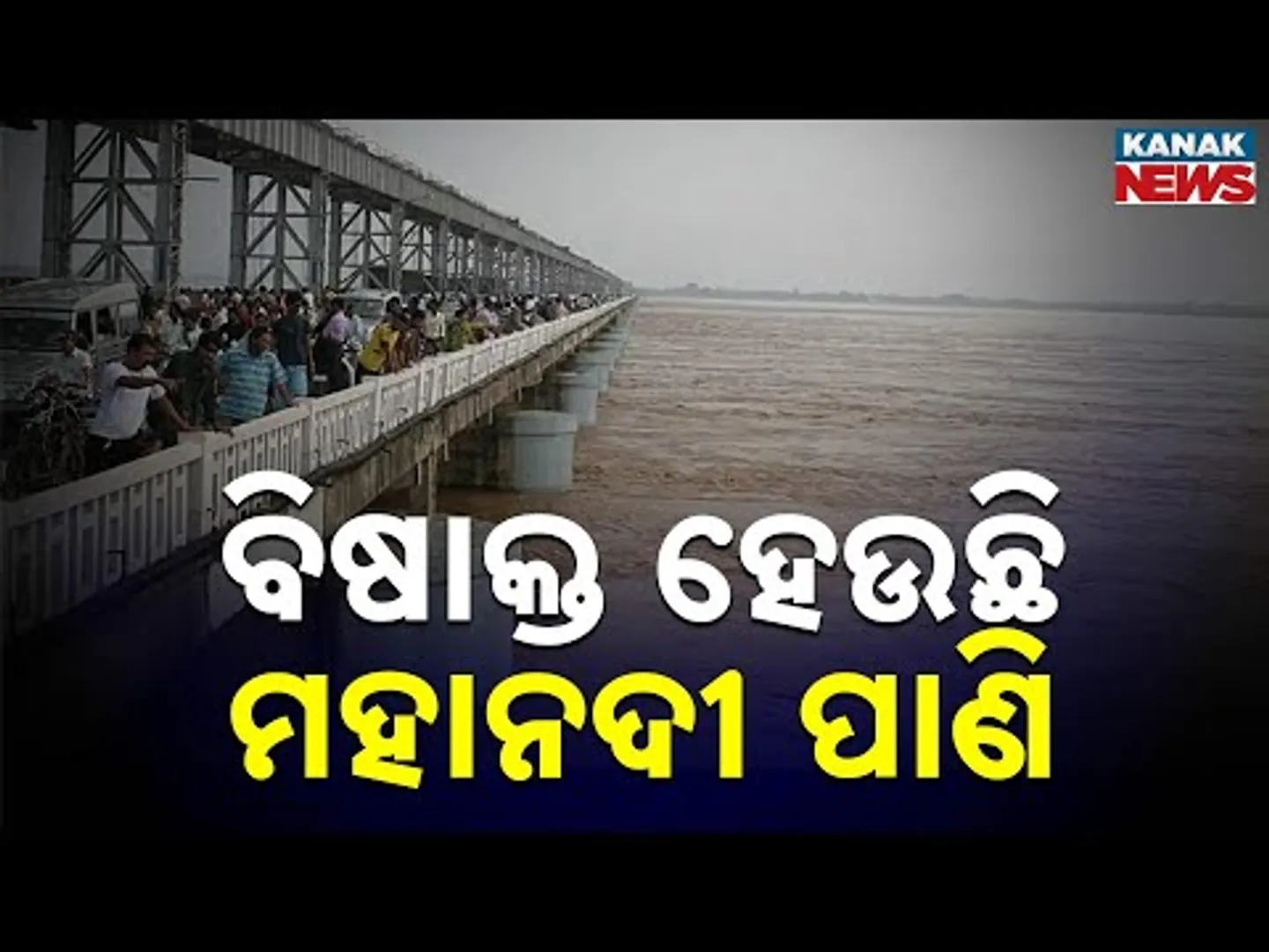 Mahanadi Water Turning Toxic | Polluted By Drainage & Industrial Waste In Sambalpur