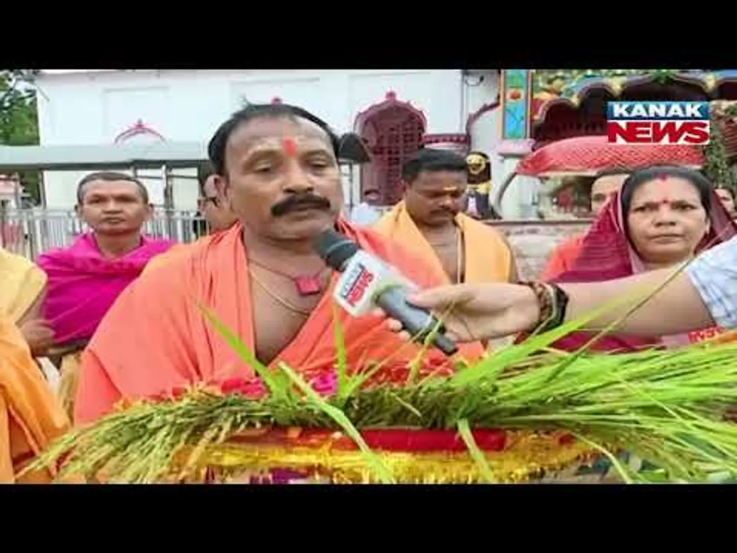 Fresh Saria Paddy Arrives At Samaleswari Temple | Nuakhai Preparations Begin