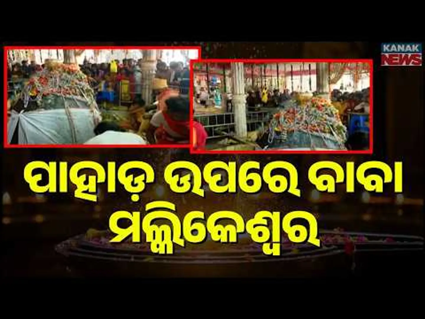 Massive Devotee Rush at Mallikeswar Temple, Malkangiri for Maha Shivratri 2026
