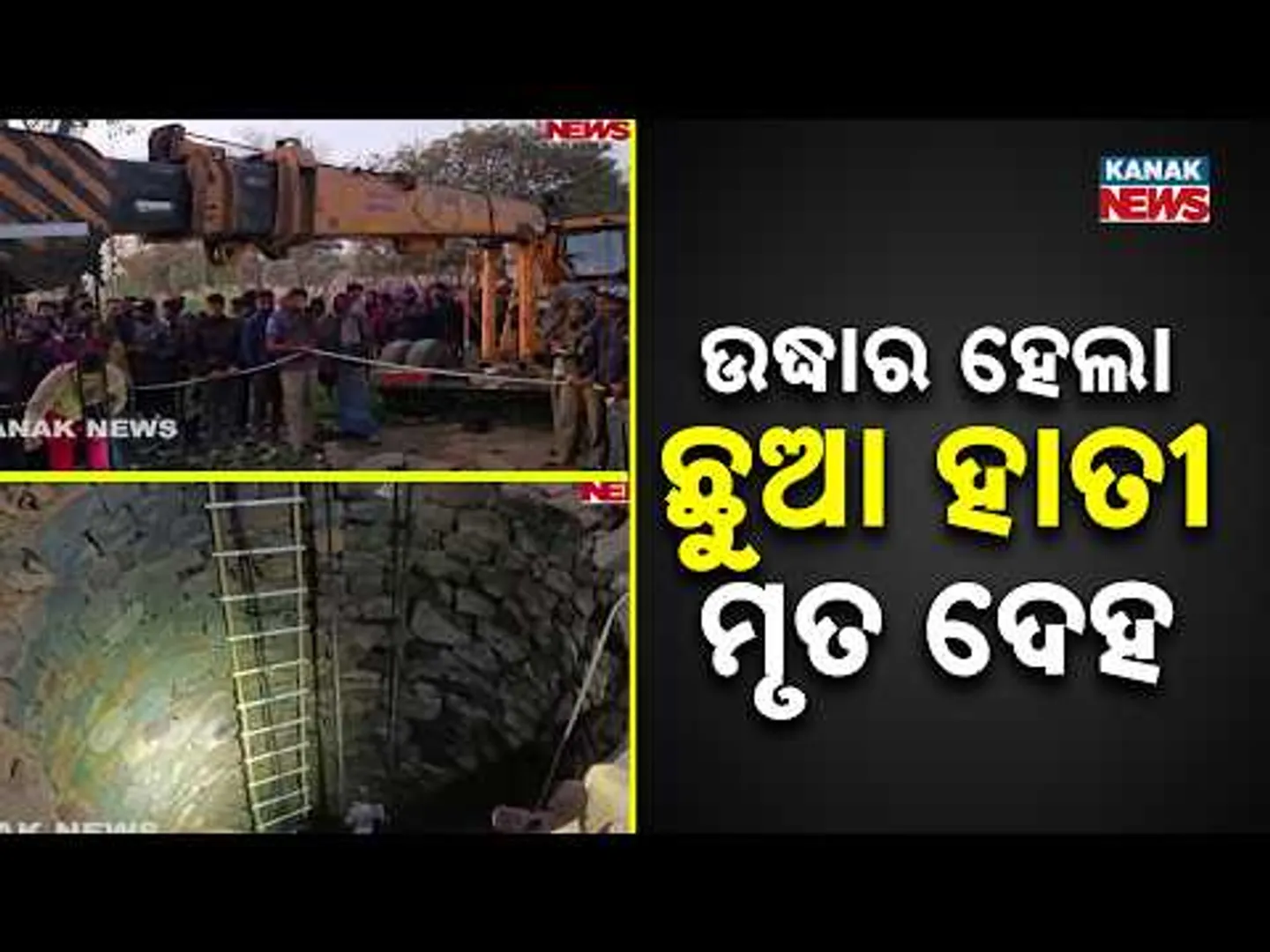 Baby Elephant Dies After Falling Into Well In Keonjhar