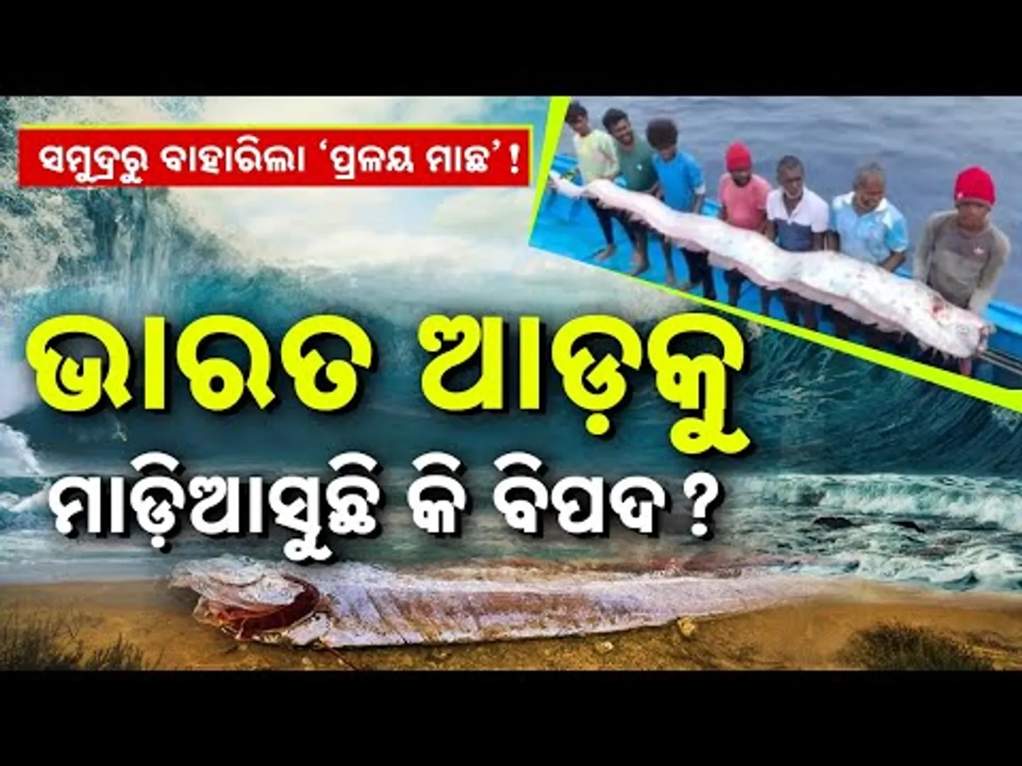 Special Report: Doomsday Fish Spotted | Is A Natural Disaster Coming To India?