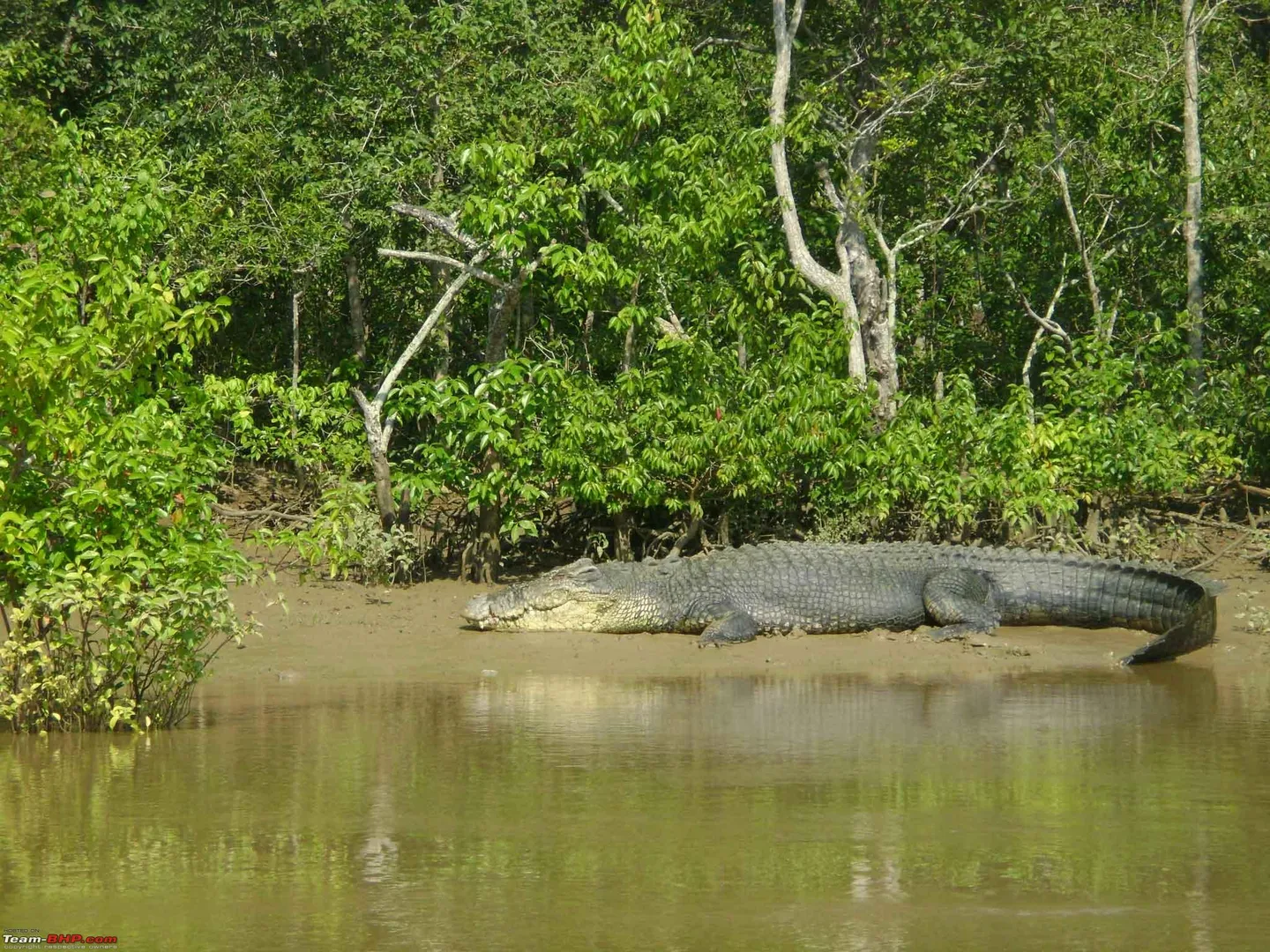 ଦୀର୍ଘ ୭ ମାସ ପରେ ଖୋଲିବ ଭିତରକନିକା । ଦିନରେ ମନା, ରାତ୍ରୀଯାପନ ପାଇଁ ମିଳିବ ସୁଯୋଗ