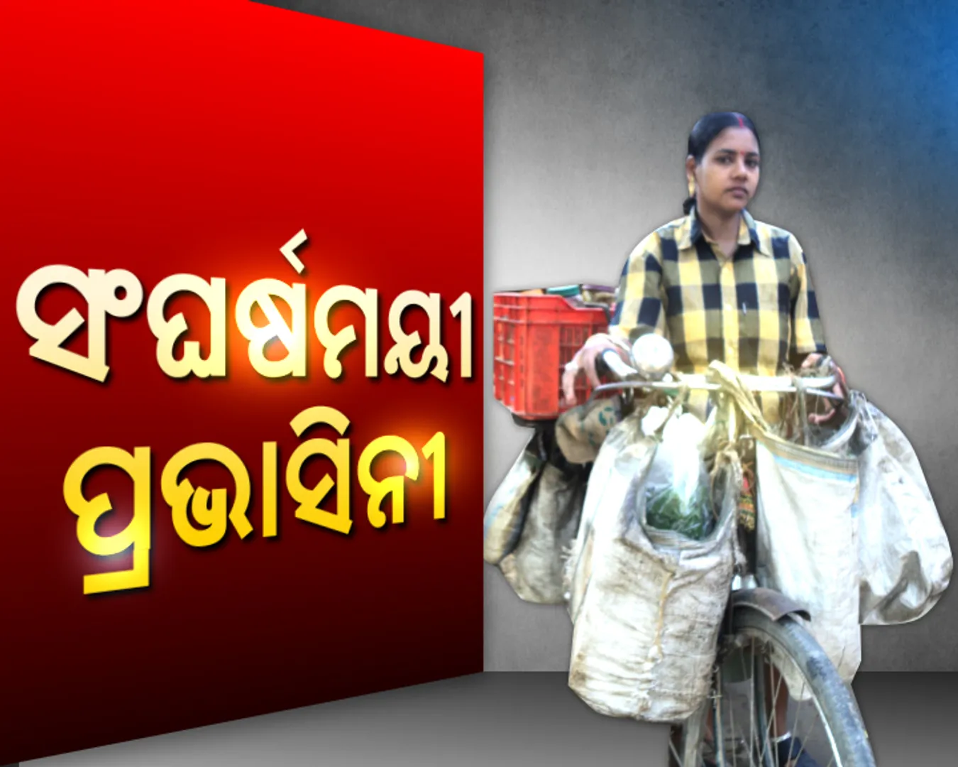ଇଏ ବି ଜଣେ ନାରୀ ! ସାଇକେଲରେ ଫେରି କରି ପରିବାର ଚଳାଉଛନ୍ତି ପ୍ରଭାସିନୀ