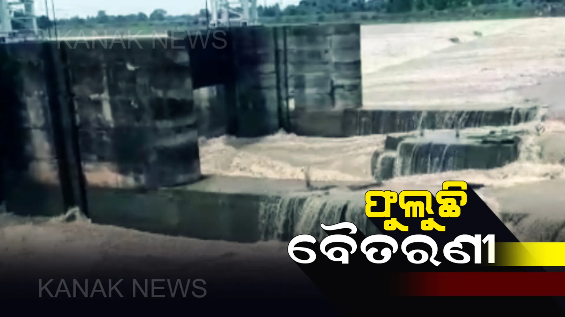 ତଳିଆ ଅଞ୍ଚଳରେ ବନ୍ୟା ଭୟ : ବିପଦ ସଙ୍କେତ ଉପରେ ବୈତରଣୀ, ମହାନଦୀରେ ମଧ୍ୟମ ଧରଣର ବନ୍ୟା ଆଶଙ୍କା, ଜୁଲାଇ ୨୯ରେ ହୋଇପାରେ ପୁଣି ଏକ ଲଘୁଚାପ