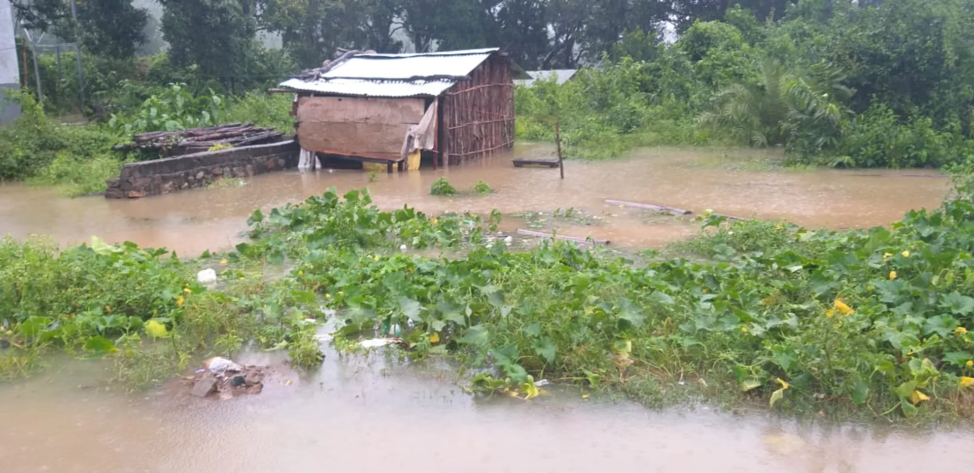 ବାତ୍ୟା ପରେ ବନ୍ୟା । ସାରା ରାଜ୍ୟରେ ଲାଗିରହିଛି ବର୍ଷା, ବ୍ରହ୍ମପୁର-ଭଞ୍ଜନଗର, ପାରଳାଖେମୁଣ୍ଡି-ଗୁଣୁପୁର ଯୋଗାଯୋଗ ବିଚ୍ଛିନ୍ନ