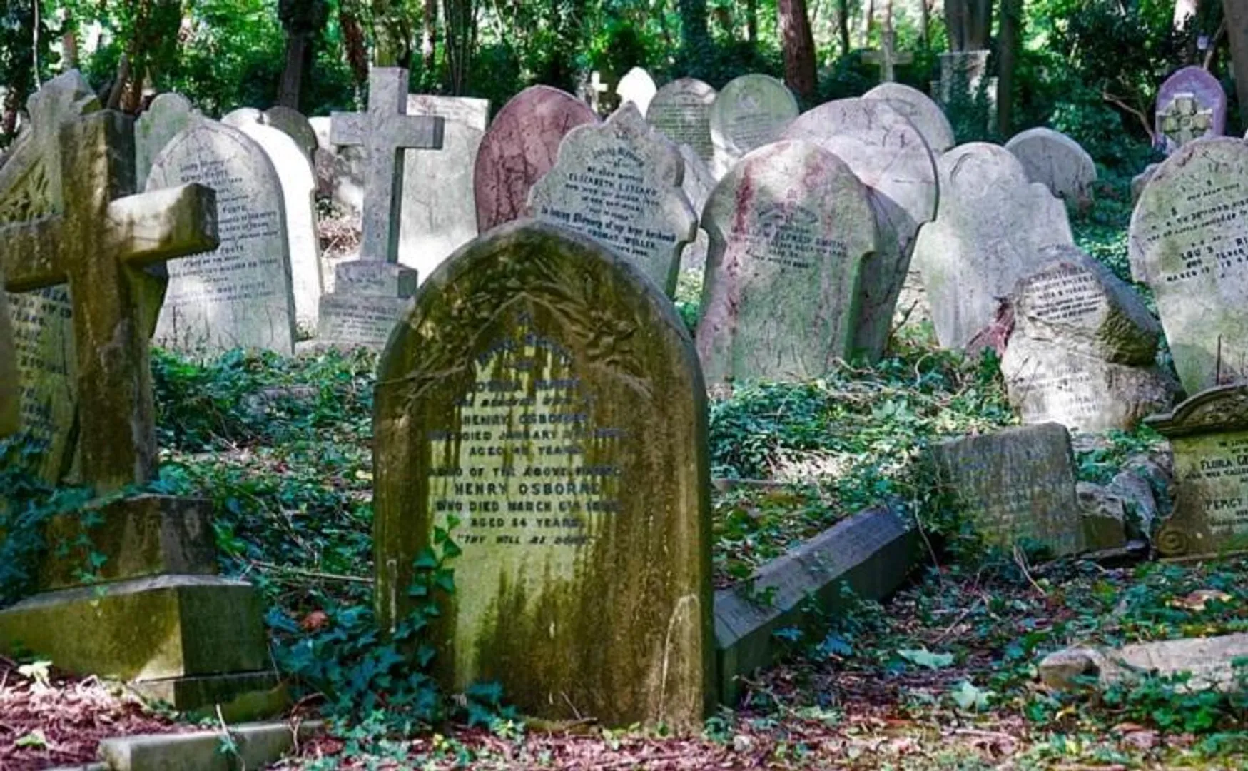 ୧୫ ଦିନ ପୂର୍ବେ ମୃତବ୍ୟକ୍ତିଙ୍କ ଶବସତ୍କାର ହୋଇଥିଲା କିନ୍ତୁ ଘରକୁ ଲେଉଟି ଆସିଲା ମଲାଲୋକ ।