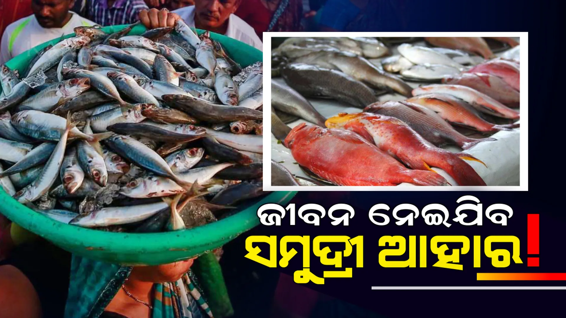 ସମୁଦ୍ରୀ ଆହାରରେ ବଢୁଛି ଆର୍ସେନିକର ସ୍ତର ! ମାଛ,ଚିଙ୍ଗୁଡି,କଙ୍କଡା ଭଳି ଖାଦ୍ୟ ନେଇଯାଇପାରେ ଆପଣଙ୍କ ଜୀବନ ।