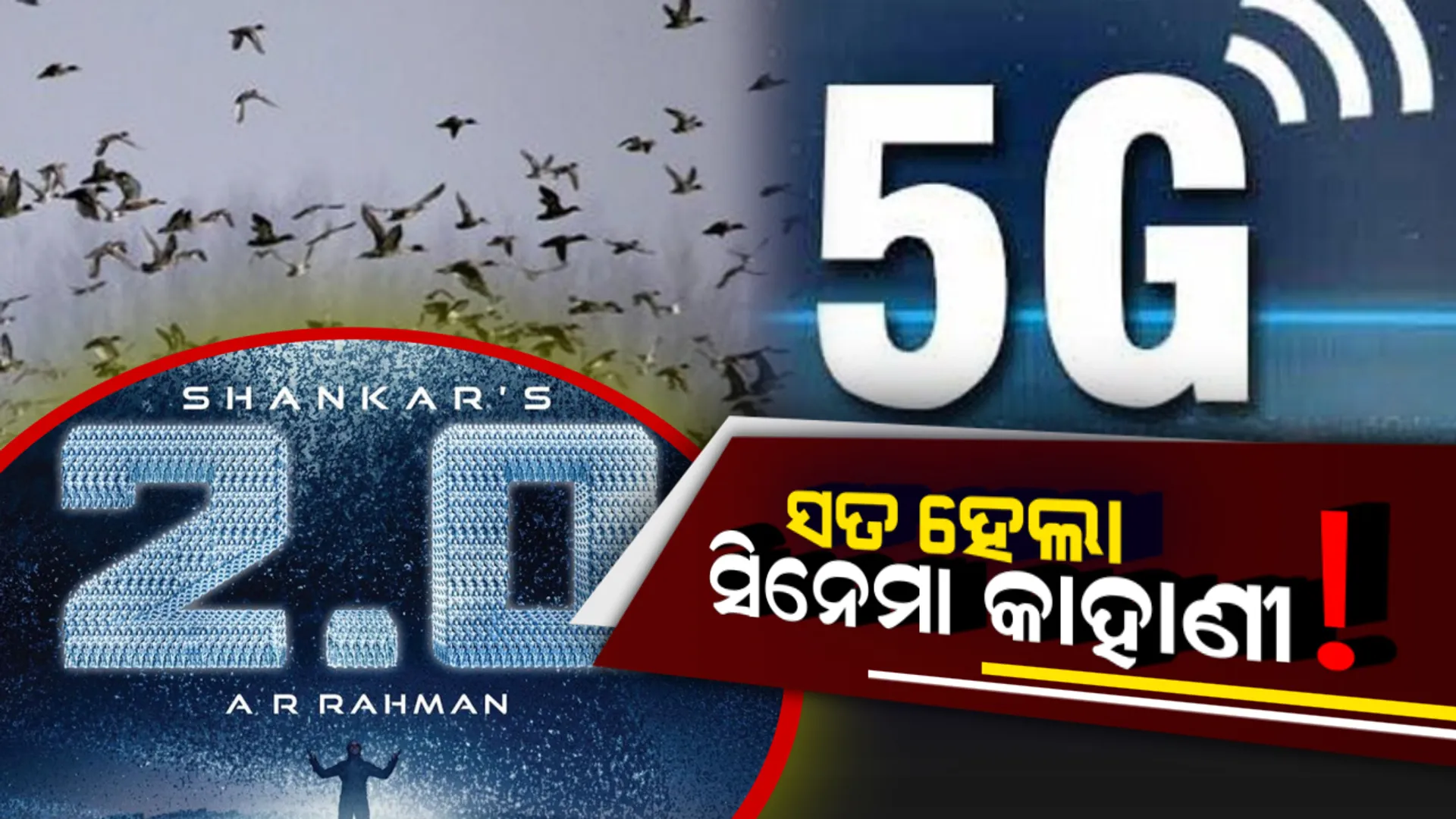ସତ ହେଲା ସିନେମା ୨.୦ ର କାହାଣୀ ! ୫ ଜି ନେଟୱର୍କ କାରଣରୁ ଗଲା ୩୦୦ ରୁ ଅଧିକ ପକ୍ଷୀଙ୍କ ଜୀବନ ।