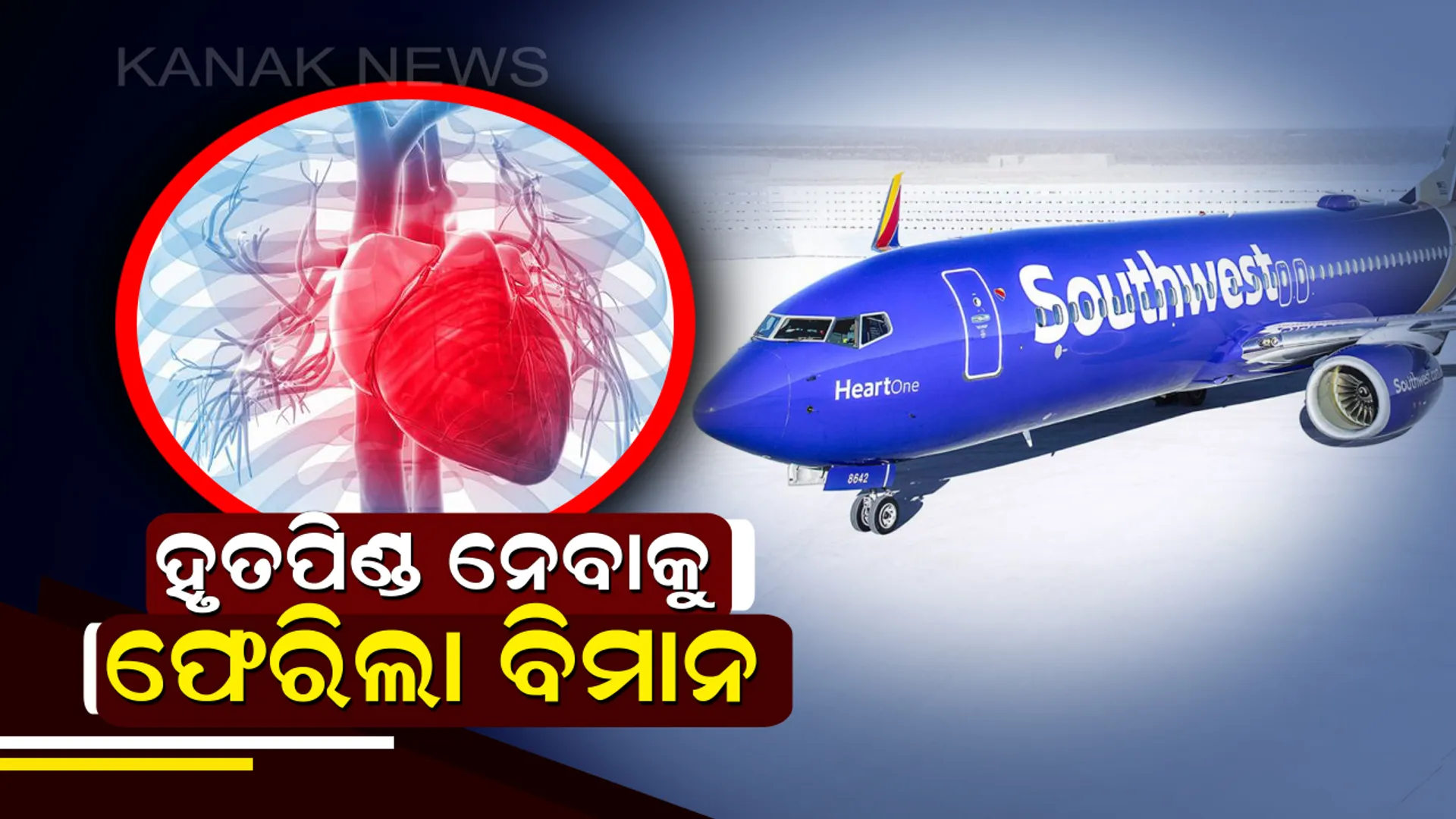 ଭୁଲ୍ ନା ଦାୟିତ୍ୱହୀନତା ? ମଣିଷ ହୃତପିଣ୍ଡ ଛାଡିଯାଇଥିଲା ବିମାନ,ପୁଣି ନେବାକୁ ଫେରିଲା ୯୫୦ କି.ମି. ।