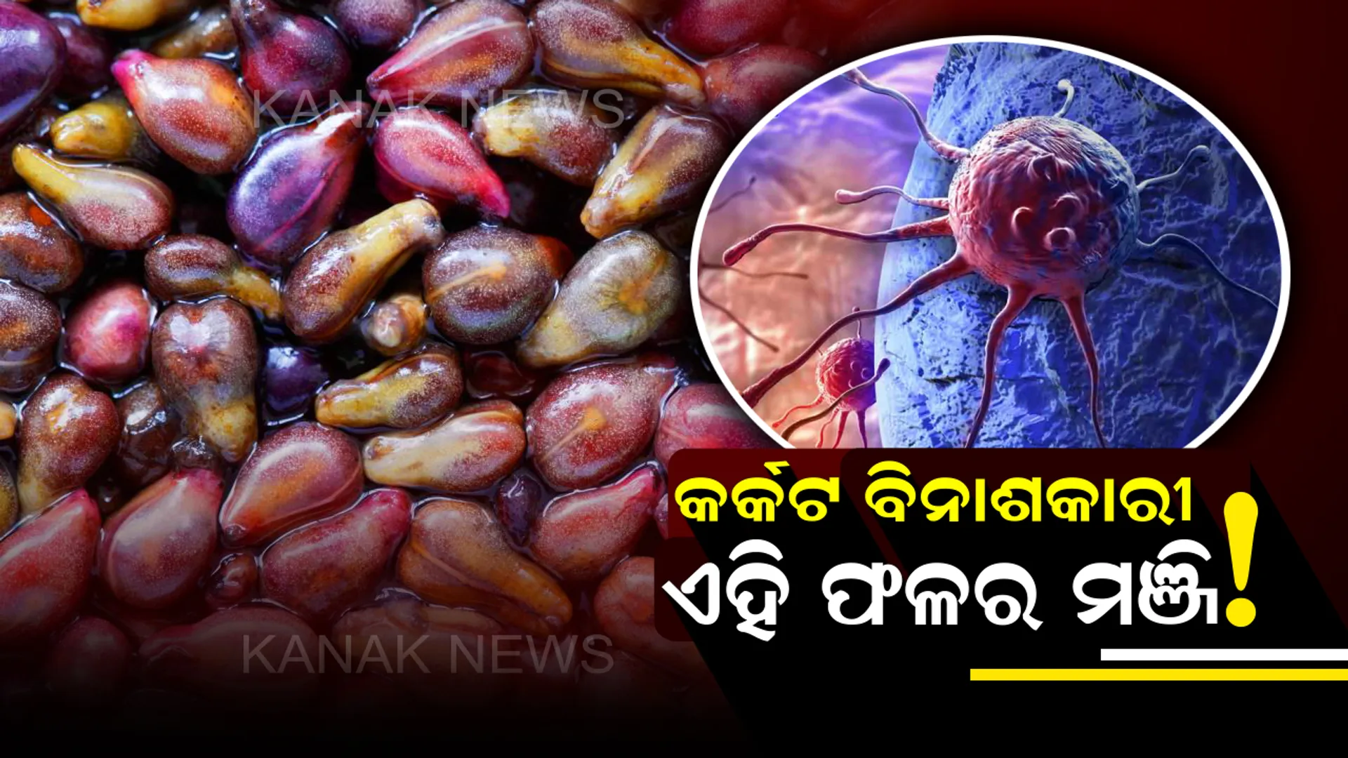 ମାତ୍ର ୪୮ ଘଣ୍ଟାରେ ୭୫ ପ୍ରତିଶତ କର୍କଟକୁ ଶରୀରରୁ ବାହାର କରିବାରେ ସକ୍ଷମ ହୁଏ ଏହି ଫଳର ମଞ୍ଜି ! ସପ୍ତାହ ମଧ୍ୟରେ ଏହାକୁ ଖାଇ ଶହ ଶହ ରୋଗୀ ହୋଇଛନ୍ତି ସୁସ୍ଥ ।