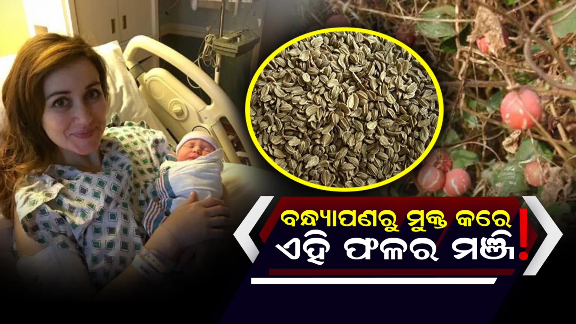 ଚେଷ୍ଟା କରି ମଧ୍ୟ ବନ୍ଧ୍ୟାପଣ କବଳରେ କବଳିତ ହୋଇଥିଲେ ଏହି ମଞ୍ଜିକୁ ବ୍ୟବହାର କରିଦେଖନ୍ତୁ ! ଗର୍ଭଧାରଣାର କ୍ଷମତା ବଢିବା ସହ କୋଳ ହେବ ପୂରଣ ।