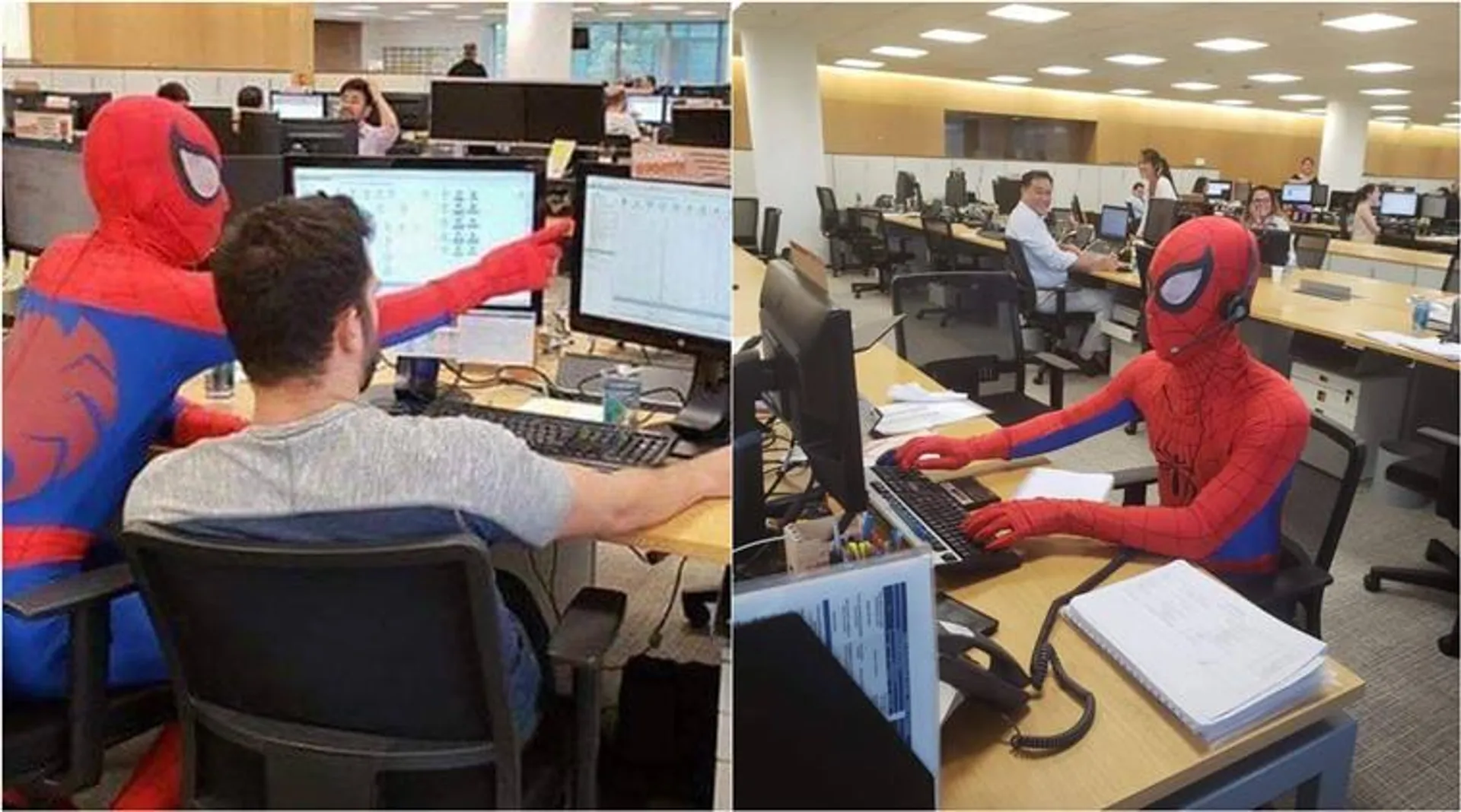 ବ୍ୟାଙ୍କ୍ ଭିତରେ ସ୍ପାଇଡରମ୍ୟାନ୍ ! ସ୍ପାଇଡରମ୍ୟାନ୍ ପୋଷାକ ପିନ୍ଧି ବ୍ୟାଙ୍କ ଗଲେ କର୍ମଚାରୀ ।