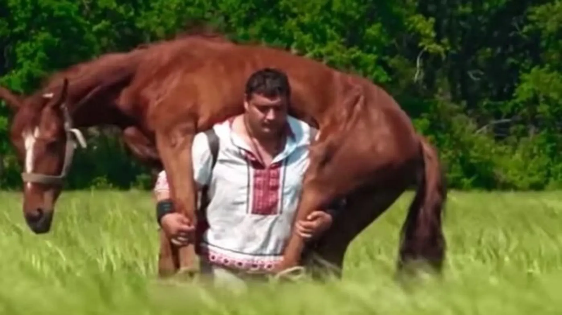 ୫୦୦ କିଲୋ ଓଜନର ଘୋଡାକୁ ବଞ୍ଚାଇବା ପାଇଁ ମାଲିକ ଦୌଡିଲା ୫ କିଲୋମିଟର ! ଭିଡିଓ ହେଲା ଭାଇରାଲ୍ ।