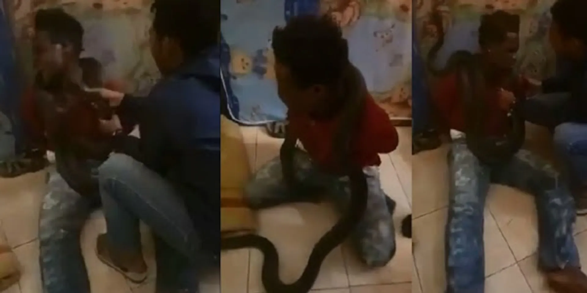 ଚୋର ଠାରୁ ଅପରାଧ ସ୍ୱୀକାର କରାଇବା ଚକ୍କରରେ ହରଡଘଣାରେ ପଡିଲେ ପୁଲିସକର୍ମୀ : ଅପରାଧୀର ବେକରେ ସାପ ଗୁଡାଇ କରୁଥିଲେ ପଚରାଉଚୁରା