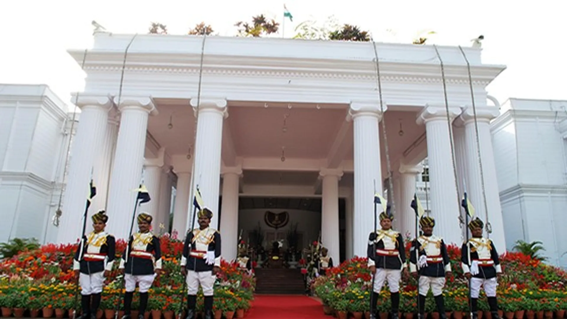 ବିରାଡିଙ୍କ ଉତ୍ପାତକୁ ନେଇ ଚିନ୍ତିତ କର୍ଣ୍ଣାଟକ ରାଜ୍ୟପାଳ, ବିରାଡି ଧରିବା ପାଇଁ ଦେଲେ ୧ଲକ୍ଷ ଟଙ୍କାର ଠିକା