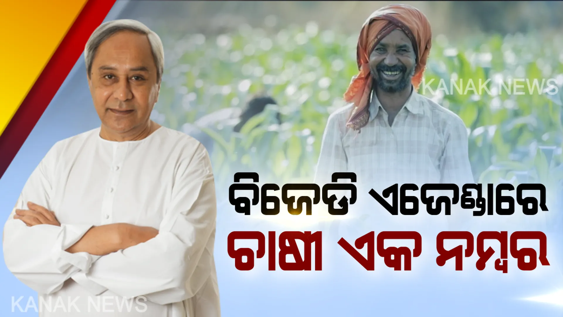 ଚାଷୀଙ୍କ ପାଇଁ ନବୀନଙ୍କ ପ୍ରତିଶୃତି । ସରକାରକୁ ଆସିଲେ ପ୍ରଥମ ଦିନରେ ହିଁ ମିଳିବ କାଳିଆ ଟଙ୍କା,କେହି ଜଣେ ବି ଚାଷୀ ପଡିବେନି ବାଦ୍ ।