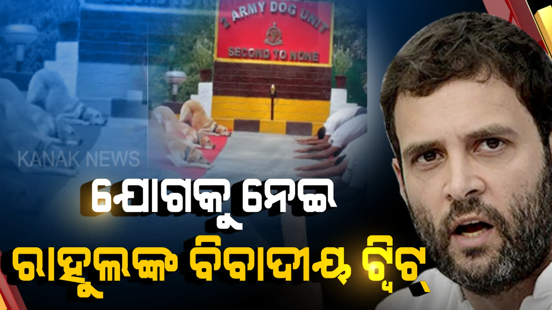 ଯୋଗ ଦିବସରେ କଂଗ୍ରେସ ଅଧ୍ୟକ୍ଷଙ୍କ ଟ୍ୱିଟକୁ ନେଇ ବଢିଲା ଅଡୁଆ : ରାହୁଲଙ୍କ ପୋଷ୍ଟରେ ସେନା ଜବାନଙ୍କ ସହ ଯୋଗ ମୁଦ୍ରାରେ ଡଗ୍ ସ୍କ୍ୱାଡ଼, ଲେଖିଥିଲେ ନୂଆ ଭାରତର ଚିତ୍ର