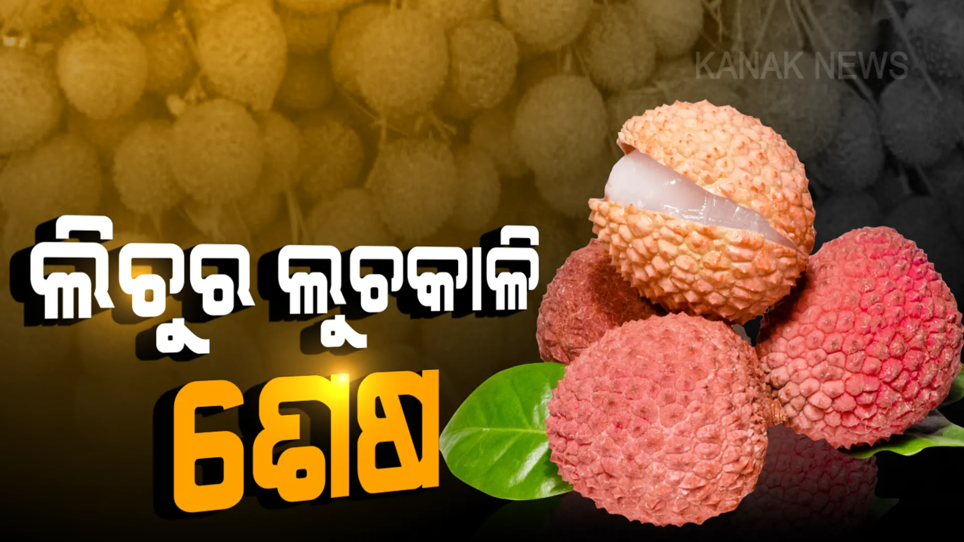ଲିଚୁରେ ନାହିଁ ବିଷ, ମିଳିଲା ସବୁଜ ସଂକେତ । କନକ ନ୍ୟୁଜ୍ ହାତରେ ଲିଚୁ ରିପୋର୍ଟ, ଜାଣନ୍ତୁ କଣ କହୁଛି ରାଜ୍ୟ ଜନସ୍ୱାସ୍ଥ୍ୟ ପରୀକ୍ଷାଗାର ରିପୋର୍ଟ ।