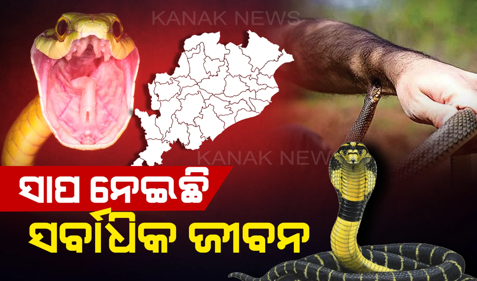 ବଜ୍ରାଘାତ, ସର୍ପାଘାତ ଓ ପାଣିରେ ବୁଡି ଯାଇଛି ସର୍ବାଧିକ ଜୀବନ: ୩ ବର୍ଷରେ କେଉଁଠି କେତେ ଜଣଙ୍କ ମୃତ୍ୟୁ ହୋଇଛି ପଢନ୍ତୁ...