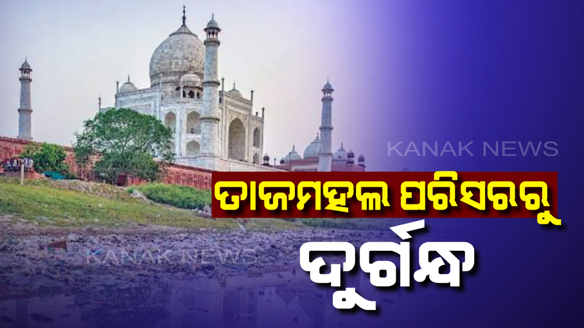 ବିଶ୍ୱ ଐତିହ୍ୟ ତାଜମହଲ ପରିସରରୁ ଆସୁଛି ଦୁର୍ଗନ୍ଦ : ଚାରିଆଡ଼େ କୁଢ଼ କୁଢ଼ ଅଳିଆ ଆବର୍ଜନା