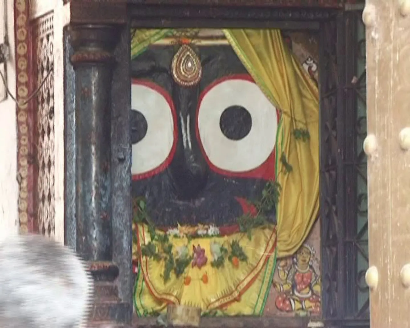 ବଡଠାକୁରଙ୍କ ନେତ୍ରୋତ୍ସବ ଏକ ଲୌକିକ ଲୀଳା ! ଶାସ୍ତ୍ର ମତରେ ଚକାନୟନଙ୍କ ଆମପରି ସାଧାରଣ ଚକ୍ଷୁ ନୁହେଁ, ତାହା ହେଉଛି ଅର୍ନ୍ତଚକ୍ଷୁ, ଉନ୍ମୀଳିତ ନହୋଇ ବି ରହିଥାଏ ଚିର ଜାଗ୍ରତ