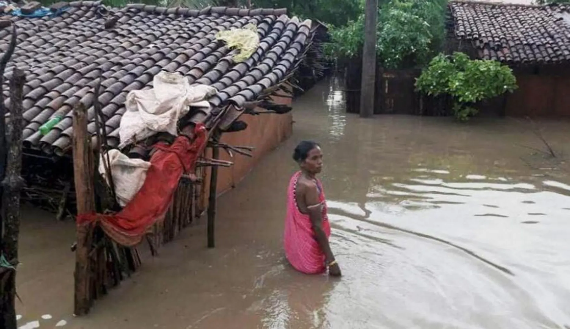 ବନ୍ୟା ପରେ ତଳିଆ ଅଞ୍ଚଳ ଜଳବନ୍ଦୀ :  ବ୍ୟାପୁଛି ସଂକ୍ରମଣ, ପୁରୀରେ ୭୯୧ହେକ୍ଟର ଧାନଜମି ଜଳମଗ୍ନ