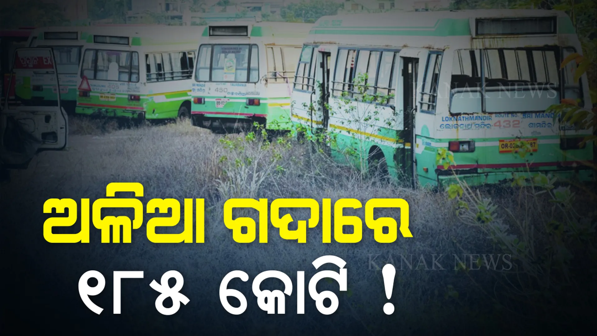 ଅଳିଆ ଗଦାରେ ୧୮୫ କୋଟିର ବସ୍ । କାହା ସ୍ୱାର୍ଥରେ କିଣାଗଲା, କାହିଁକି ନଷ୍ଟ ହେବାକୁ ଦିଆଗଲା? ସୂଚନା ଅଧିକାର ବଳରେ ଆସିଲା ସାଂଘାତିକ ସତ ।