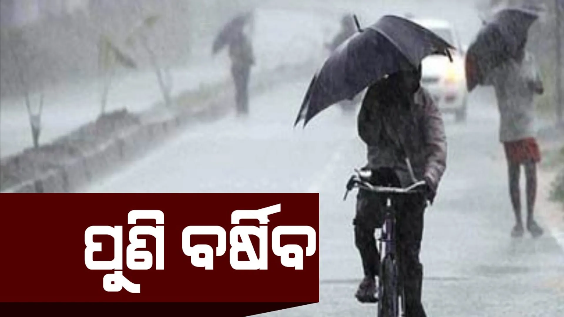 ରାଜ୍ୟରେ ବିଭିନ୍ନ ଜିଲ୍ଲାରେ ପ୍ରବଳ ବର୍ଷା ସମ୍ଭାବନା : ୟେଲୋ ୱାର୍ଣ୍ଣିଂ ଜାରି କଲା ପାଣିପାଗ ବିଭାଗ