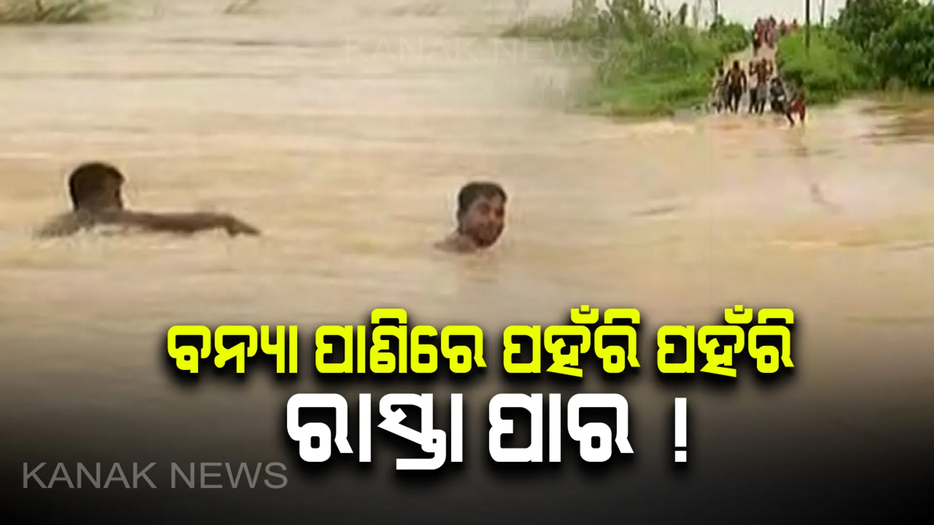 ପୁରୀ ଉତ୍ତରକଣା ଓ ନୂଆ ଗାଁରେ ବନ୍ୟା ସ୍ଥିତି : ପାଣି ଘେରରେ ଲୋକେ, ଉଦ୍ଧାର କାର୍ଯ୍ୟରେ ଓଡ୍ରାଫ୍ ଟିମ୍