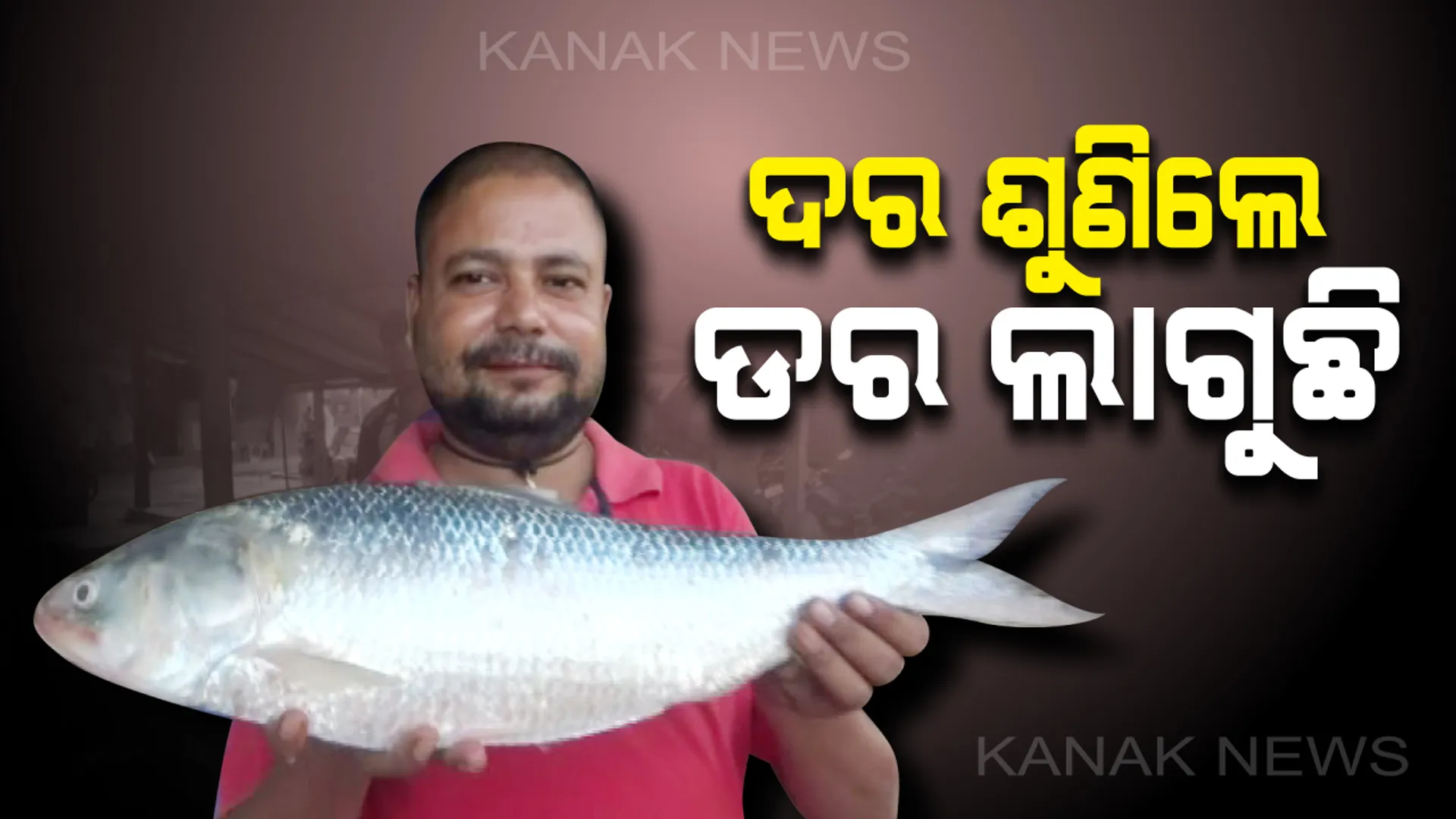 ଇଲିସି କହୁଛି ମୋତେ ଛୁଅଁନା : ଧାମରା ମୁହାଁଣରୁ ଧରାପଡିଲା ବଡ ଇଲିସି, ନିଲାମ ପରେ ୭ ହଜାର ଟଙ୍କାରେ ବିକ୍ରି ହେଲା