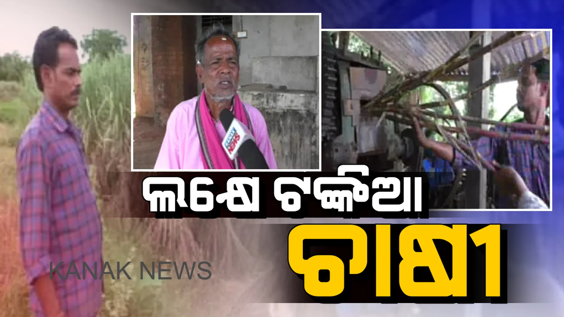 ଚାଷ କାମ ଯାହାର, କି ଆନନ୍ଦ ତାହାର: ଚାକିରି ପଛରେ ଧାଇଁଲେନି, ଚାଷ କରି ଲକ୍ଷପତି ହେଲେ । ଚର୍ଚ୍ଚାରେ ଚୈତନ୍ୟଙ୍କ ପରିବାର
