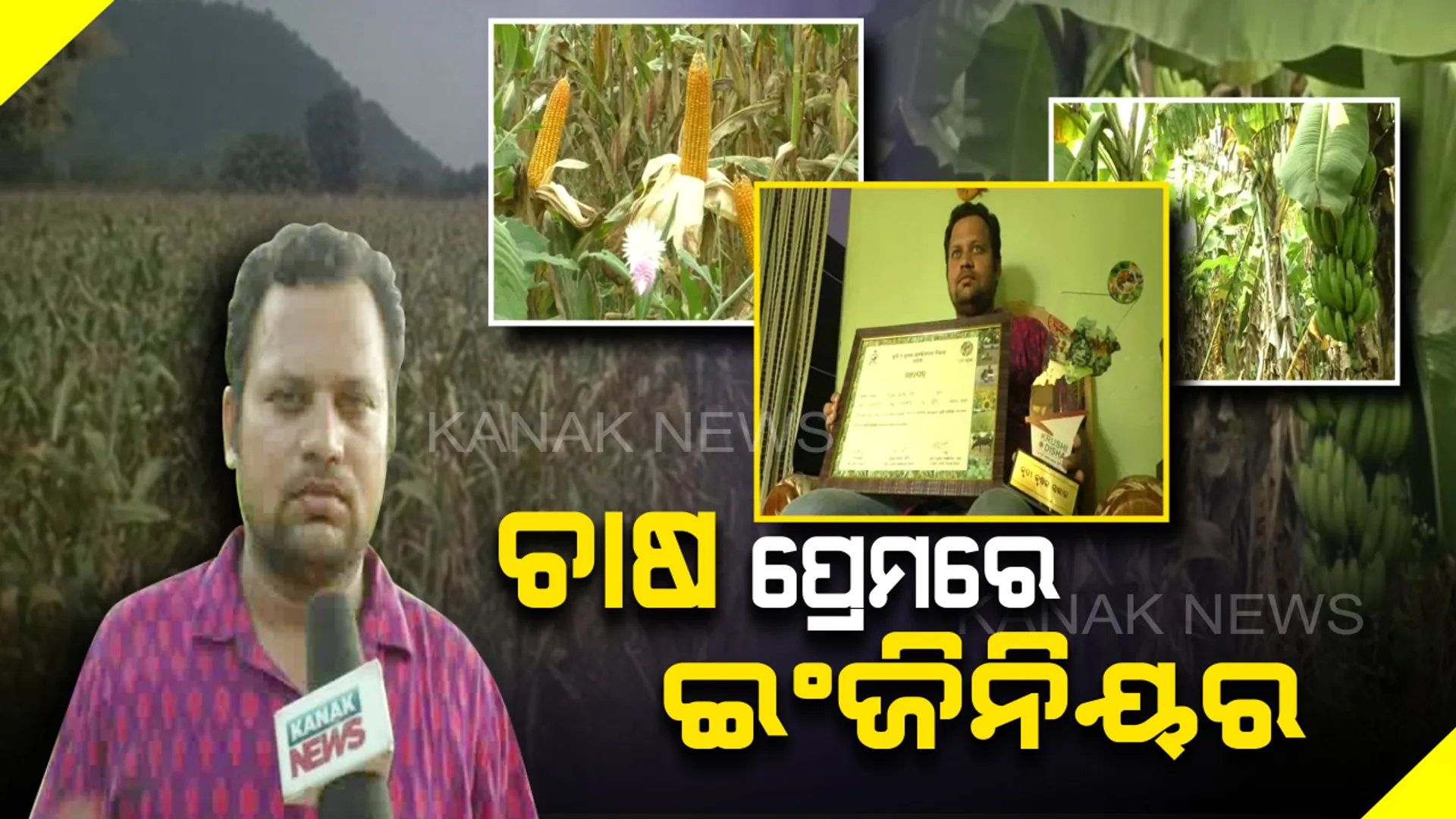 ଚାଷ ପ୍ରେମରେ ଯୁବ ଇଂଜିନିୟର...ଚାକିରି ପଛରେ ନଦୌଡି ଚାଷକୁ ଆପଣାଇଛନ୍ତି ବଲାଙ୍ଗୀରର ମନ୍ମୟ କୁମାର...ଜୈବିକ ପଦ୍ଧତିରେ ଚାଷ କରି ବାର୍ଷିକ କରୁଛନ୍ତି ଲକ୍ଷଲକ୍ଷ ଟଙ୍କାର ଆୟ