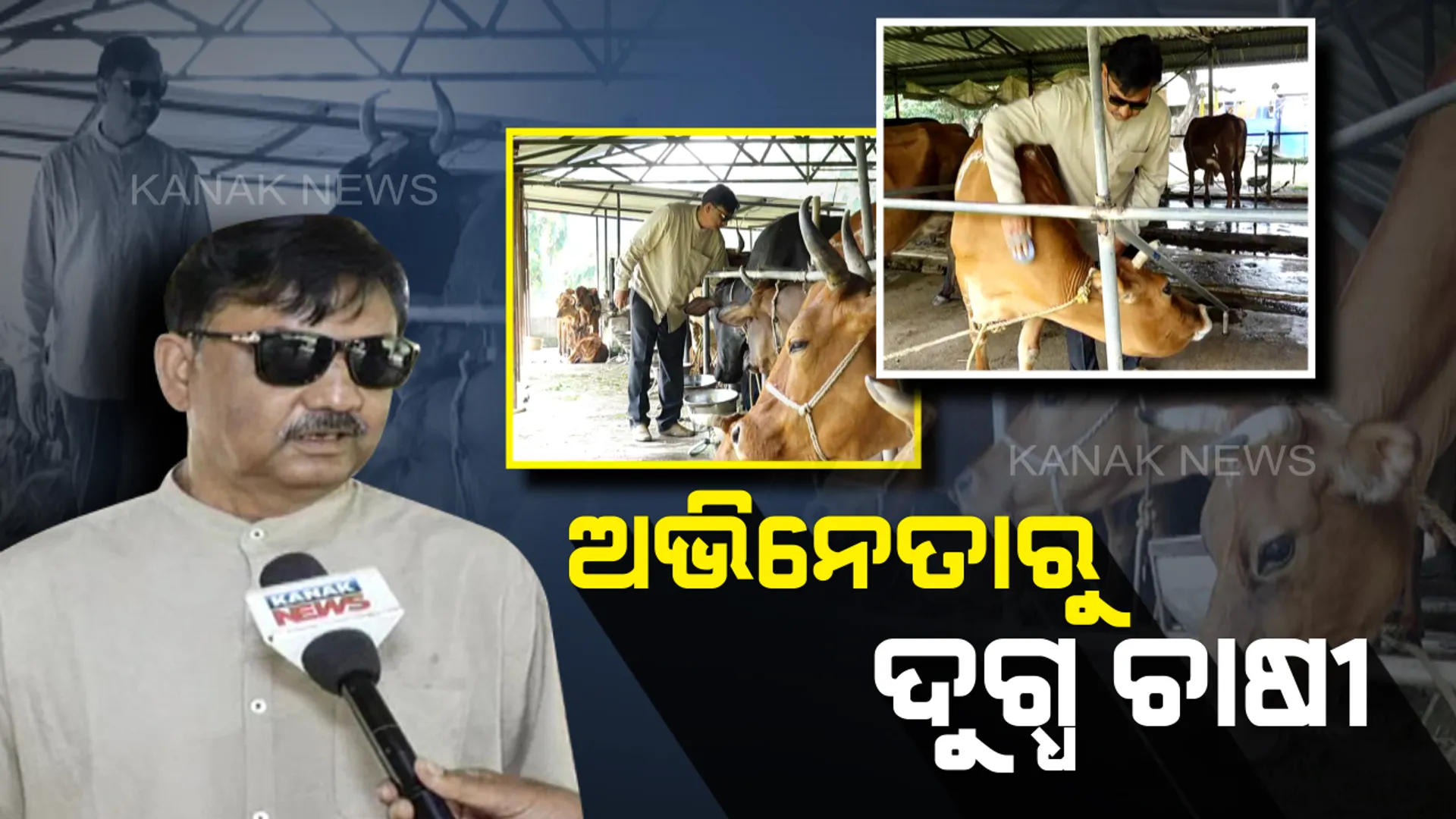 ଗୋପାଳନ କ୍ଷେତ୍ରରେ ନିଆରା ଯୋଗଦାନ...ପରଦାରେ ଅଭିନୟ ପରଶି ଦର୍ଶକଙ୍କୁ ମନୋରଂଜନ ଯୋଗାଉଥିବା ଅଭିନେତା ପାଲଟିଛନ୍ତି ଜଣେ ସଫଳ ଦୁଗ୍ଧ ଚାଷୀ