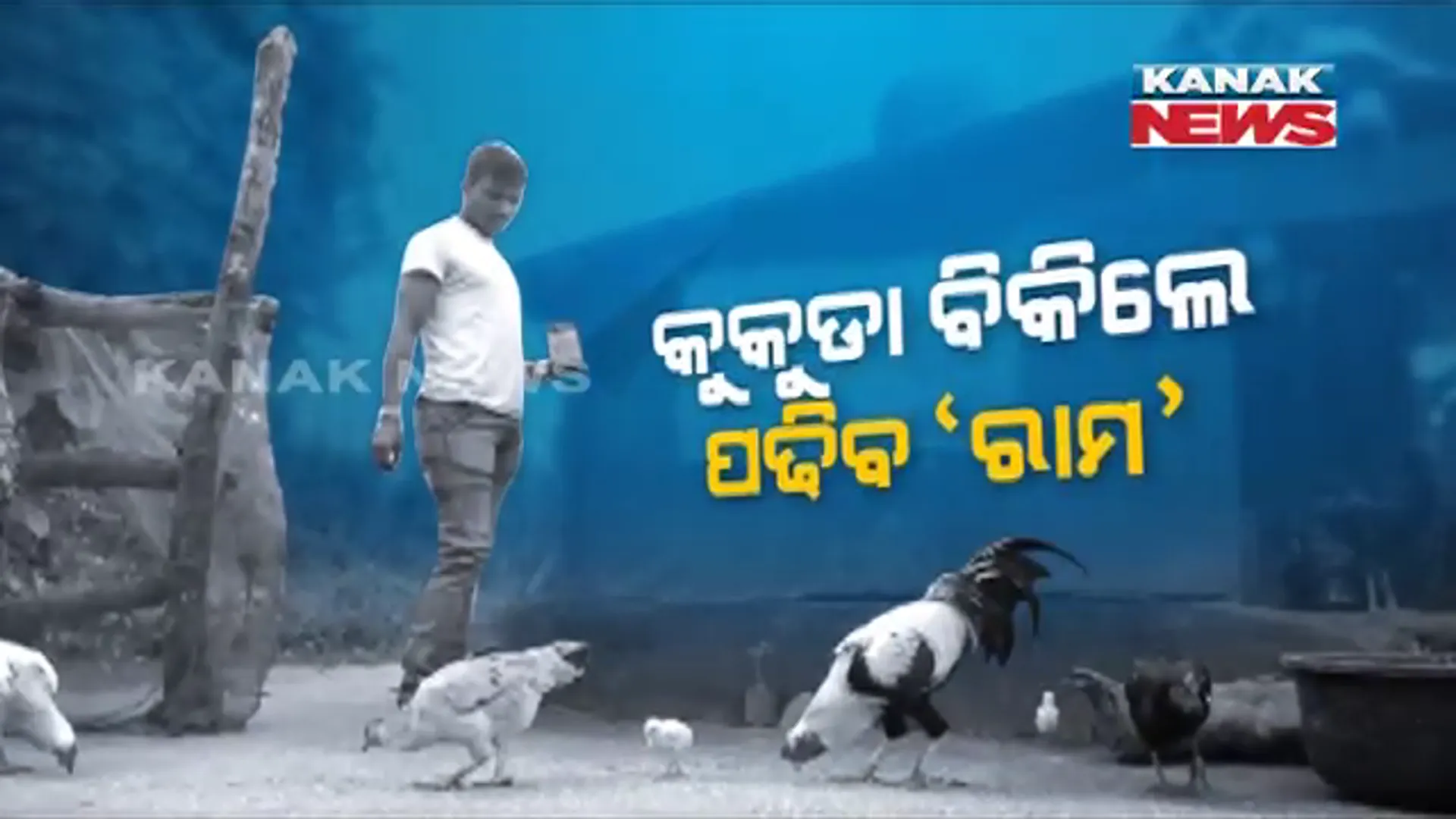 ପାଠ ପଢିବା ପାଇଁ ସଂଘର୍ଷ । ଜୀବନ ଜିଇଁବାକୁ ଅର୍ଥ ସାଜିଛି ବାଧକ, କୁକୁଡା ବିକିଲେ ପାଠ ପଢିବେ ଆଦିବାସୀ ଧାବକ ରାମଚନ୍ଦ୍ର ।