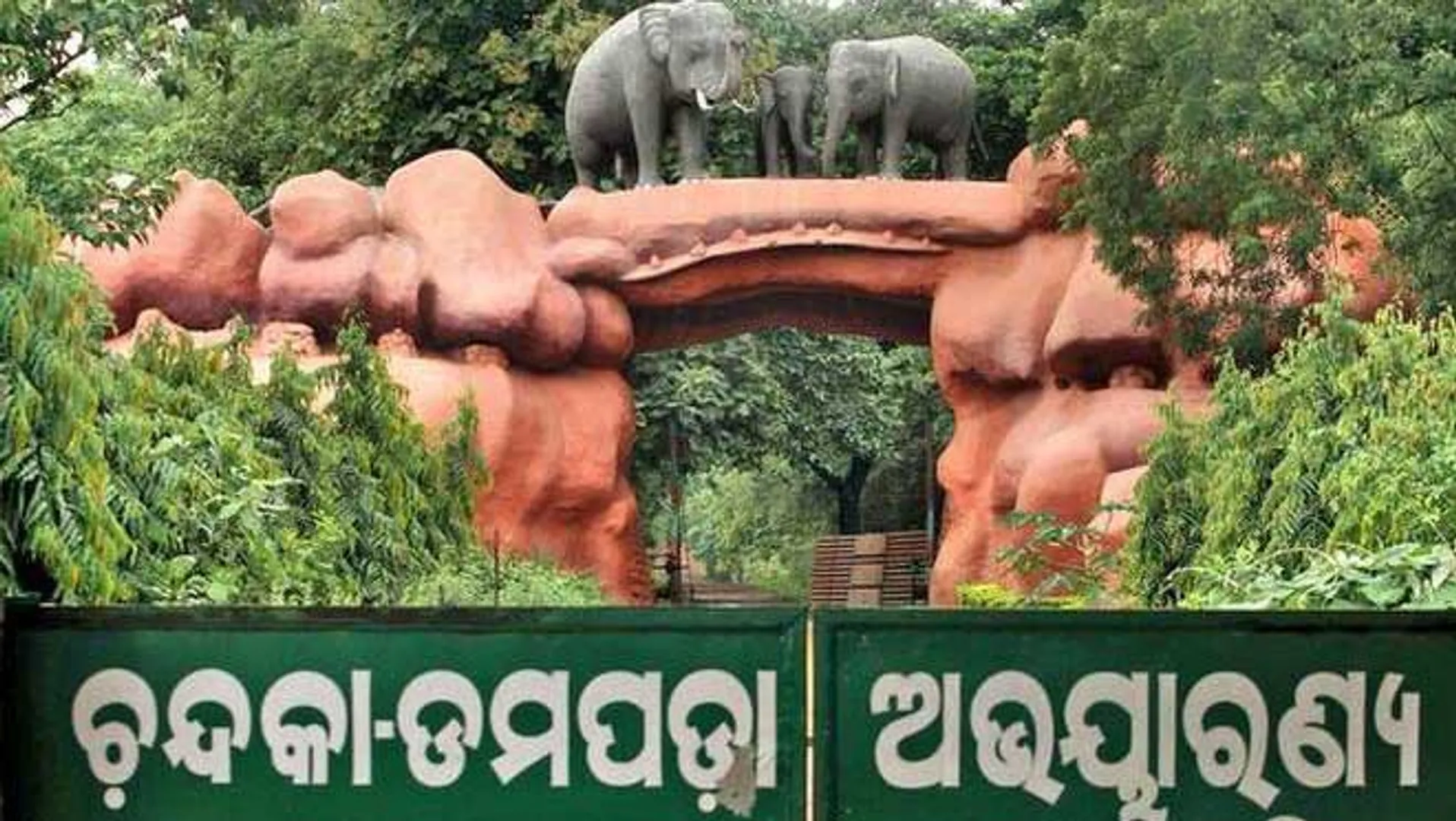 ଚନ୍ଦକା ଜଙ୍ଗଲରେ ମଦ ଓ ପ୍ଲାଷ୍ଟିକକୁ ନା । ପର୍ଯ୍ୟଟକଙ୍କ ଲାଗି ଜାରି ହେଲା ଗାଇଡଲାଇନ । ନିଆଁ ଜାଳିବା, ଜୋରରେ ଶବ୍ଦ କରିବାକୁ ବାରଣ । ବନ୍ୟଜନ୍ତୁଙ୍କଠାରୁ ୧୫ ମିଟର ଦୂରରେ ରହିବେ ପର୍ଯ୍ୟଟକ
